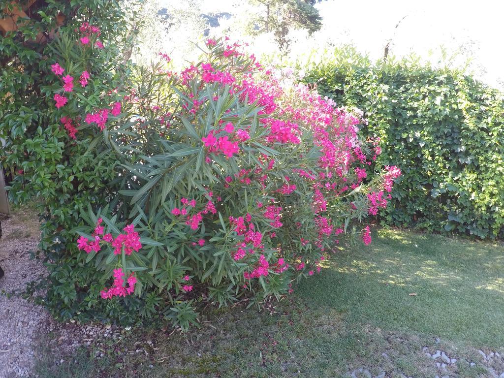 Casa Vacanza Malcesine Esterno foto